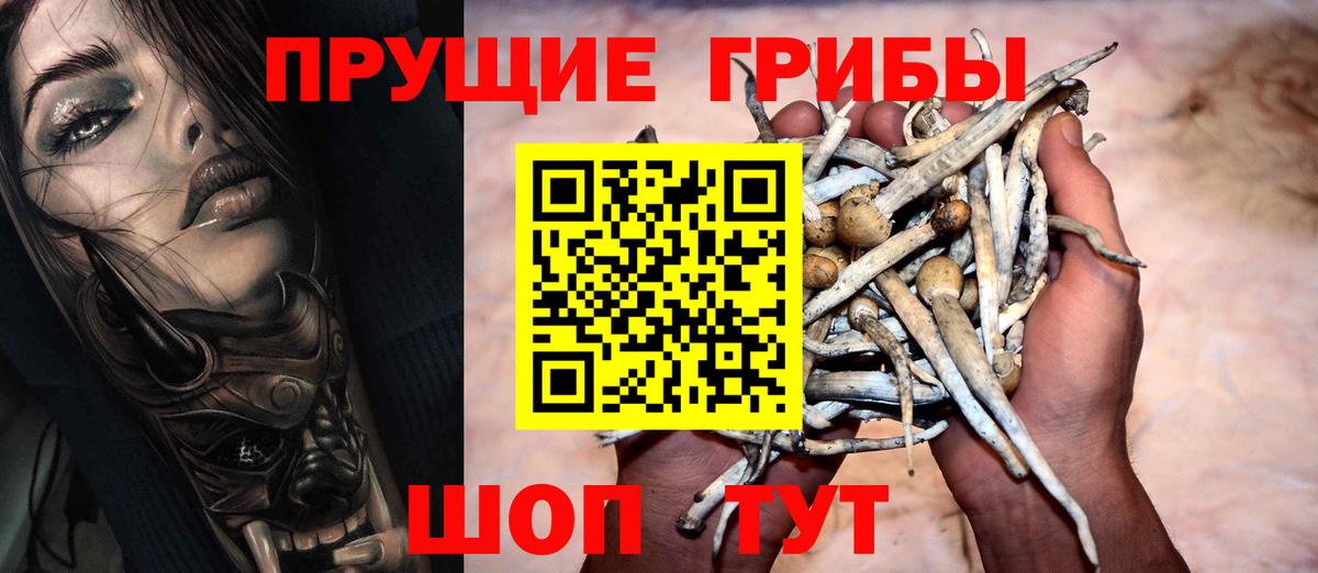 Псилоцибиновые грибы Psilocybine cubensis Чайковский