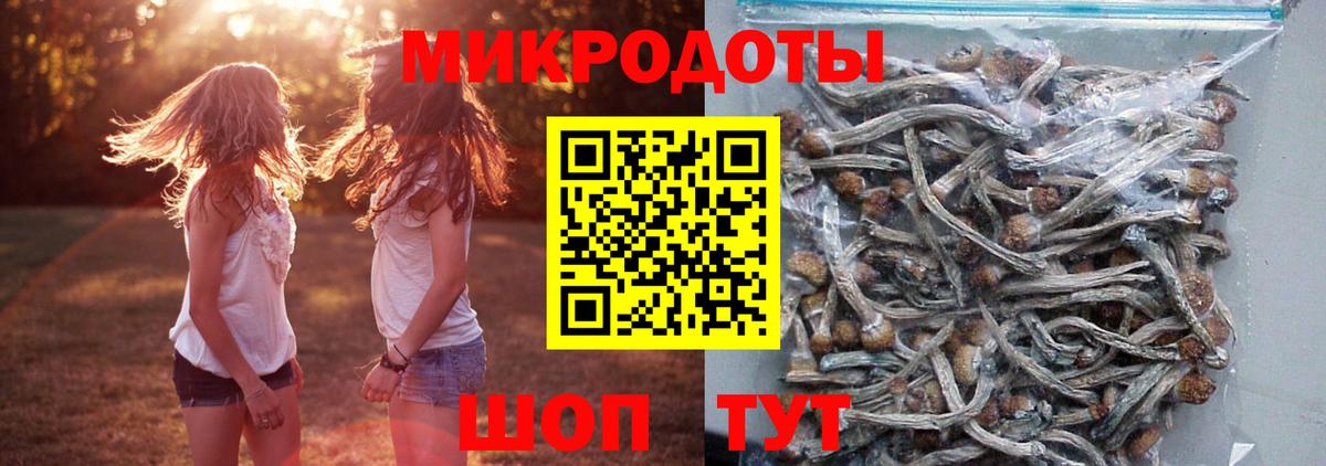 Галлюциногенные грибы ЛСД  купить наркотики сайты  Чайковский  Вход с VPN 